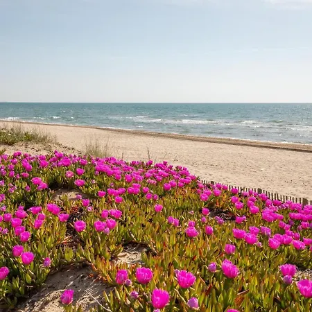 Apartment Village Naturiste R4n - Le Xillion Port Nature